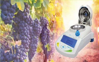 Maximice el rendimiento de la uva durante la producción de vino con el analizador de humedad PMB