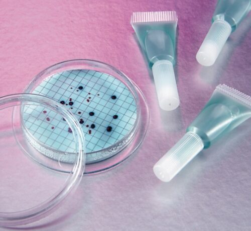Omega Perú S.A. - BACTERIAS Y SUS MEDIOS DE CULTIVO